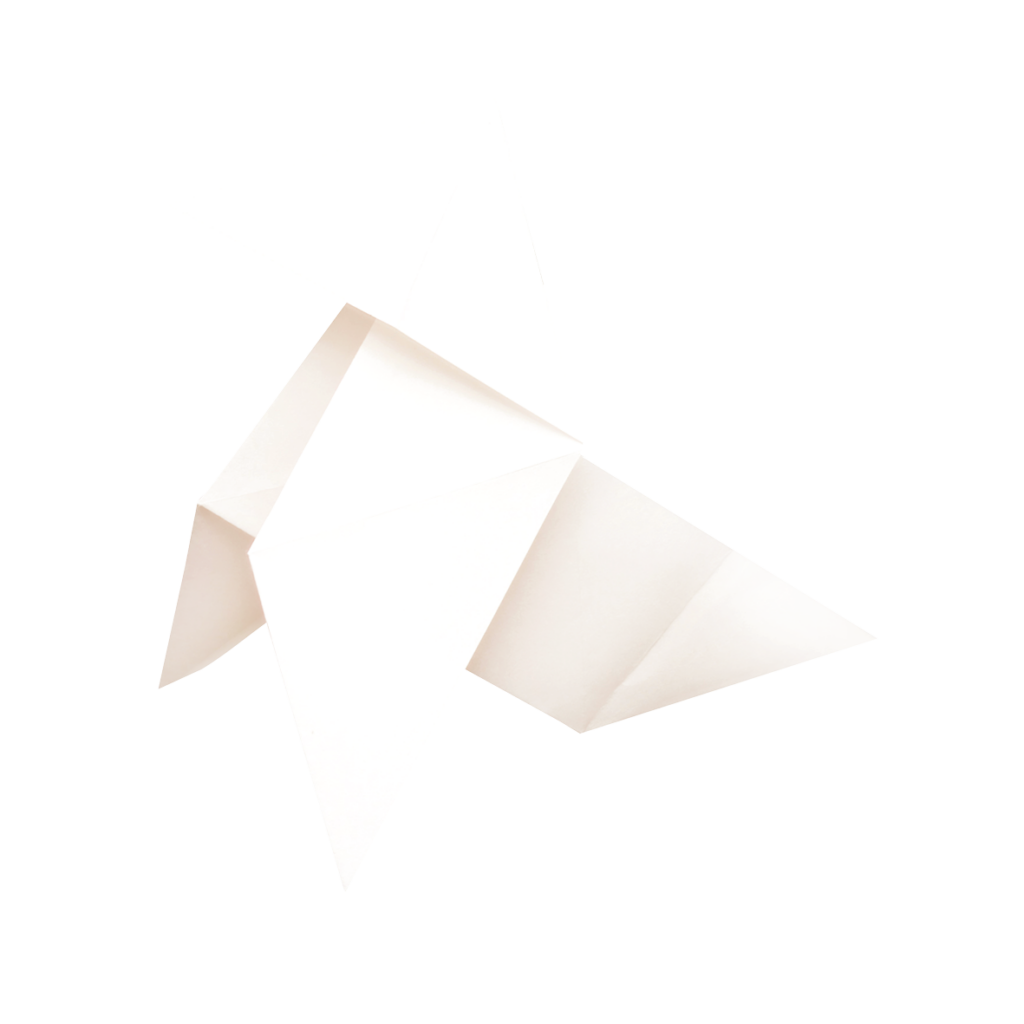 Cocotte